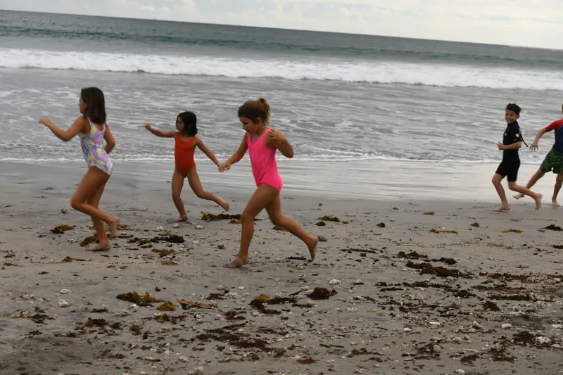 Duckies sprint along the shoreline in a beach game.
