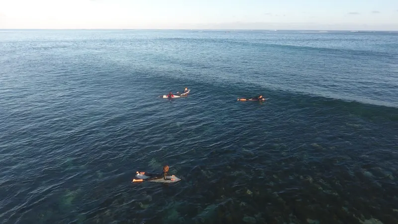 Duckies paddling out over the reef at first light.